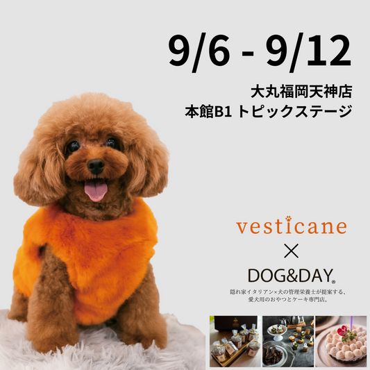 ☆大丸福岡天神店☆期間限定でvesticane登場!
