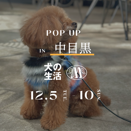 ポップアップ in 中目黒