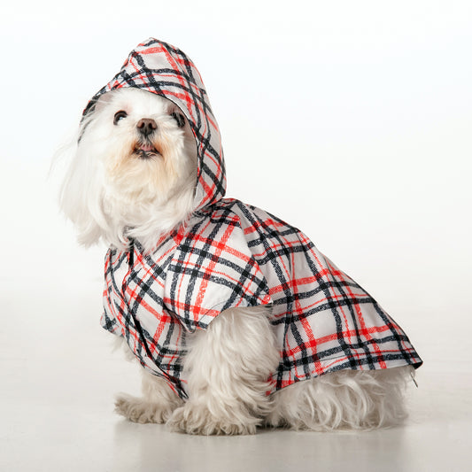 わんちゃんに服を着せる意味とは?~犬服の役割~