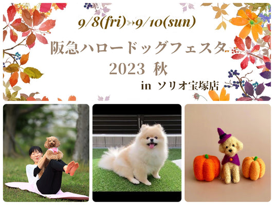 ワンダフルな週末を!阪急ハロードッグフェスタ2023で楽しい時間を共にしよう!