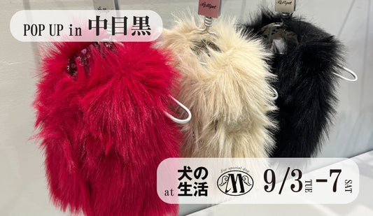ポップアップ in 中目黒