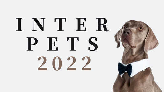 -お知らせ-インターペット2022に出展します!
