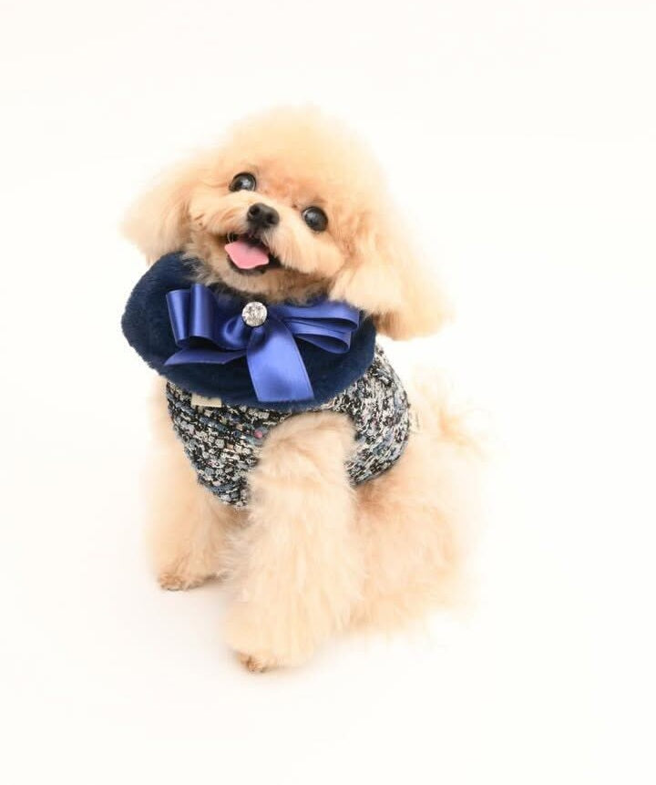 Classic chanel Harness