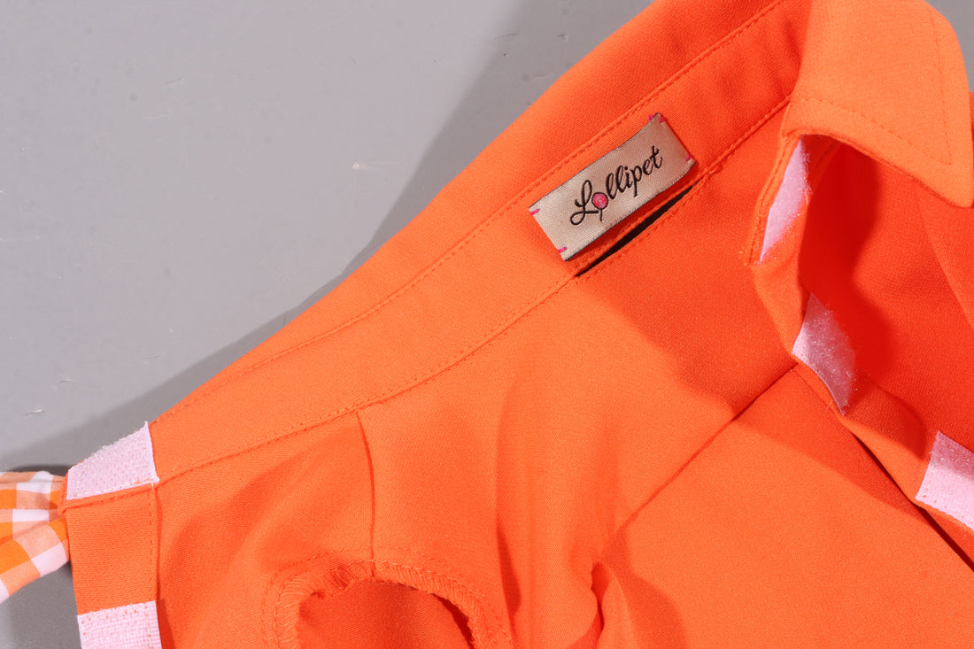 Torino papillon shirt