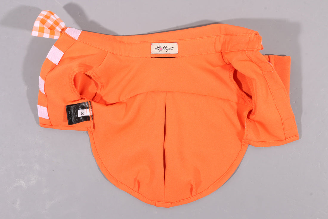 Torino papillon shirt