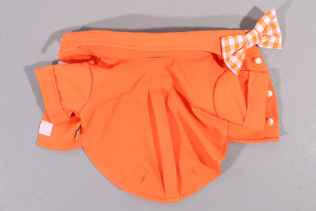 Torino papillon shirt