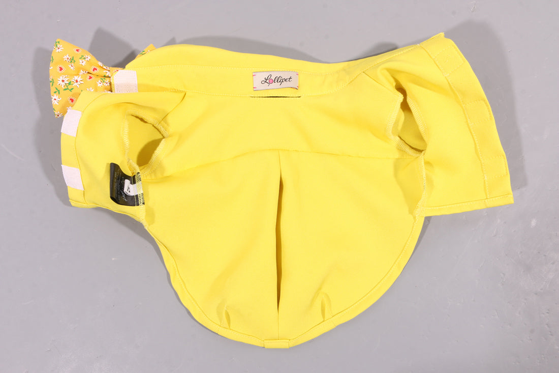 Torino papillon shirt
