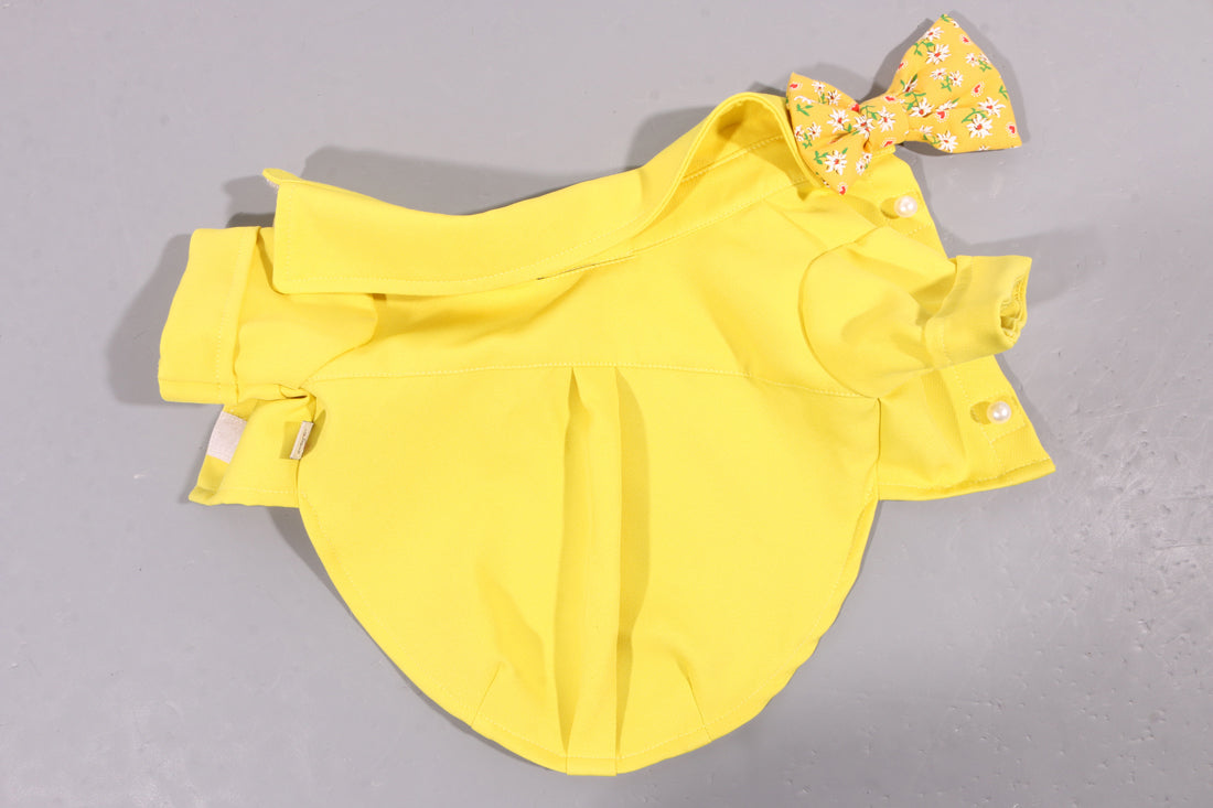Torino papillon shirt