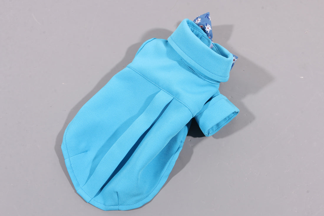 Torino papillon shirt