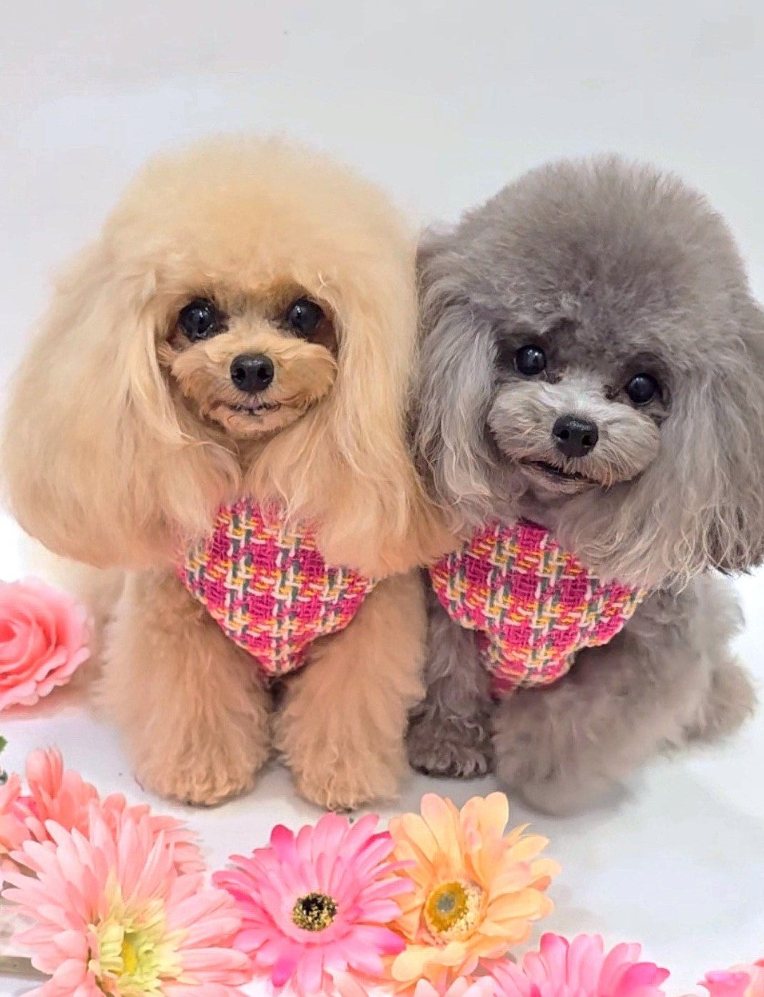 Classic Tweed Harness