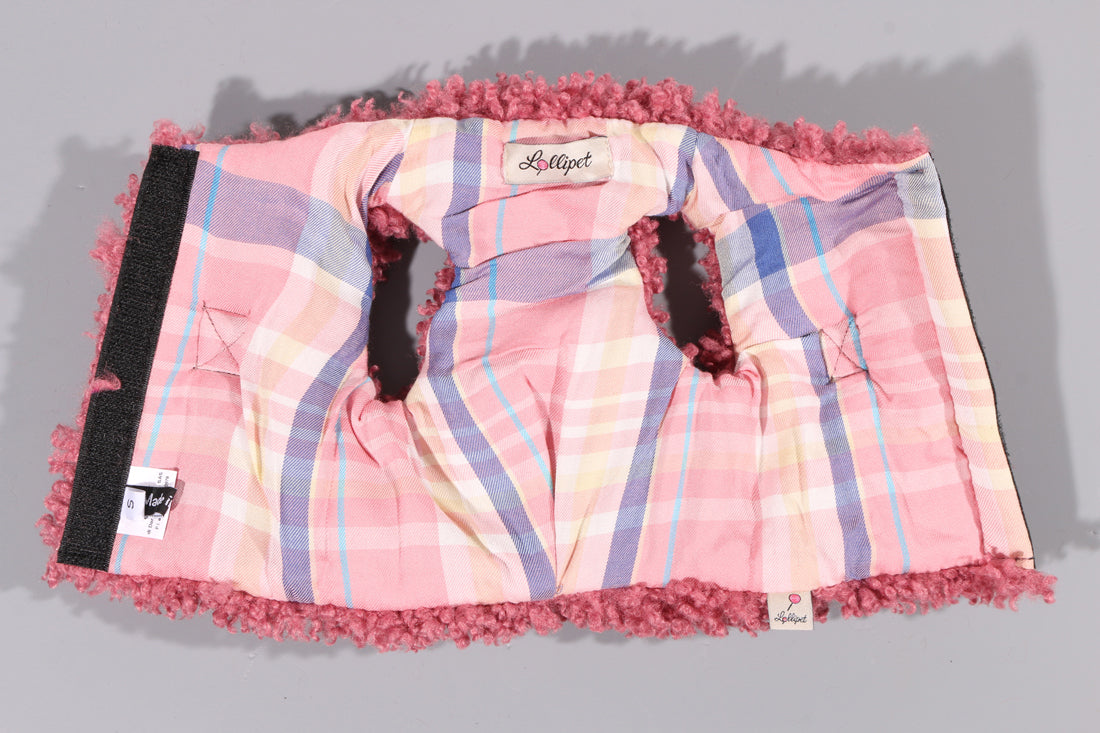 Teddy Harness