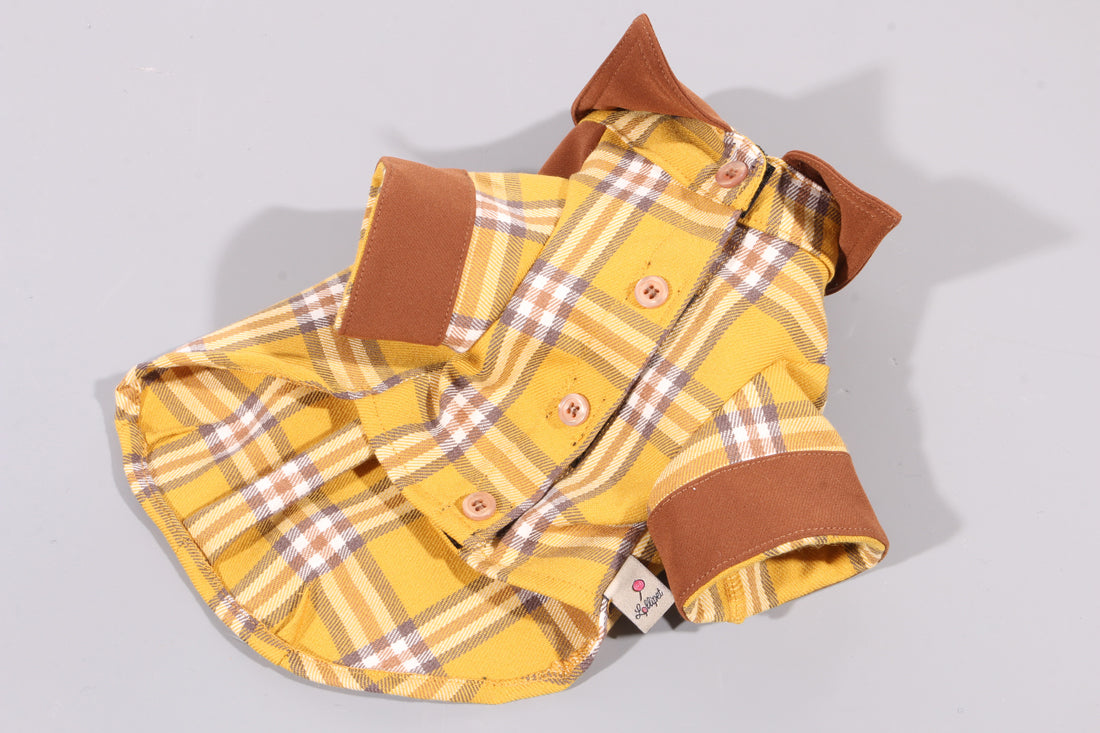 Torino Shirt