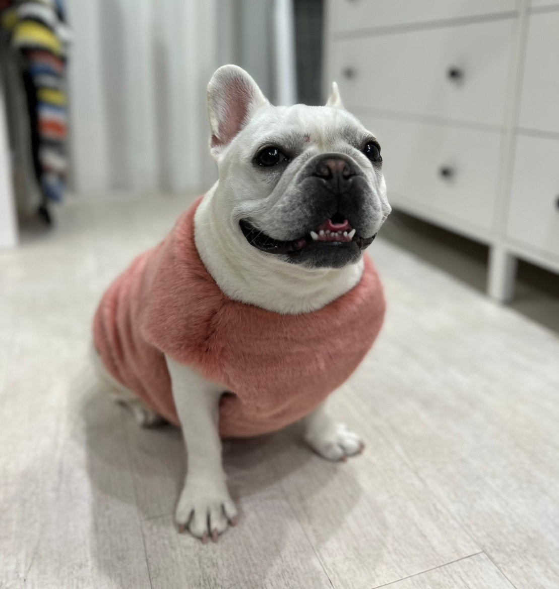 Classic Harness