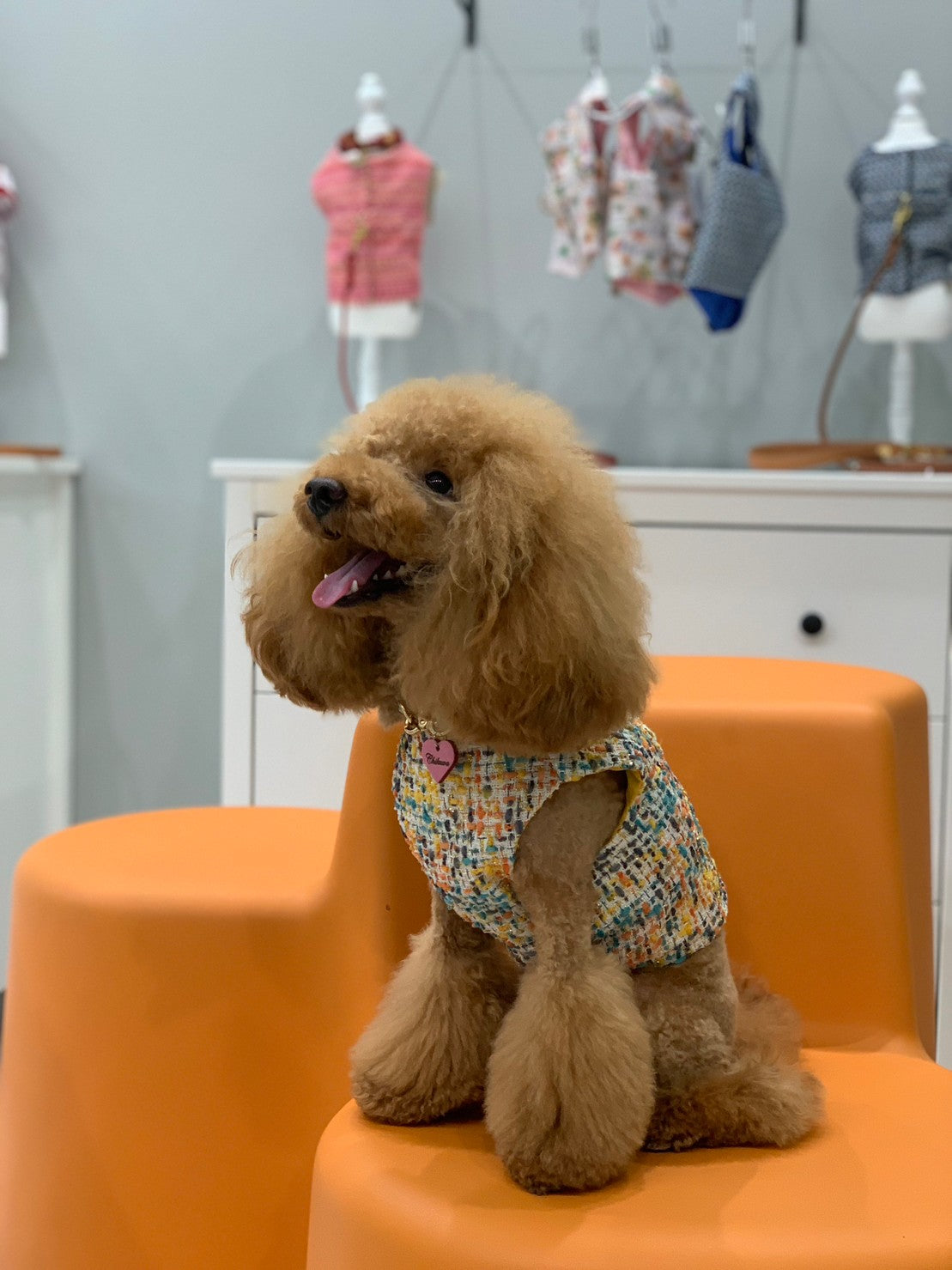 Classic yellow & multi chanel harness