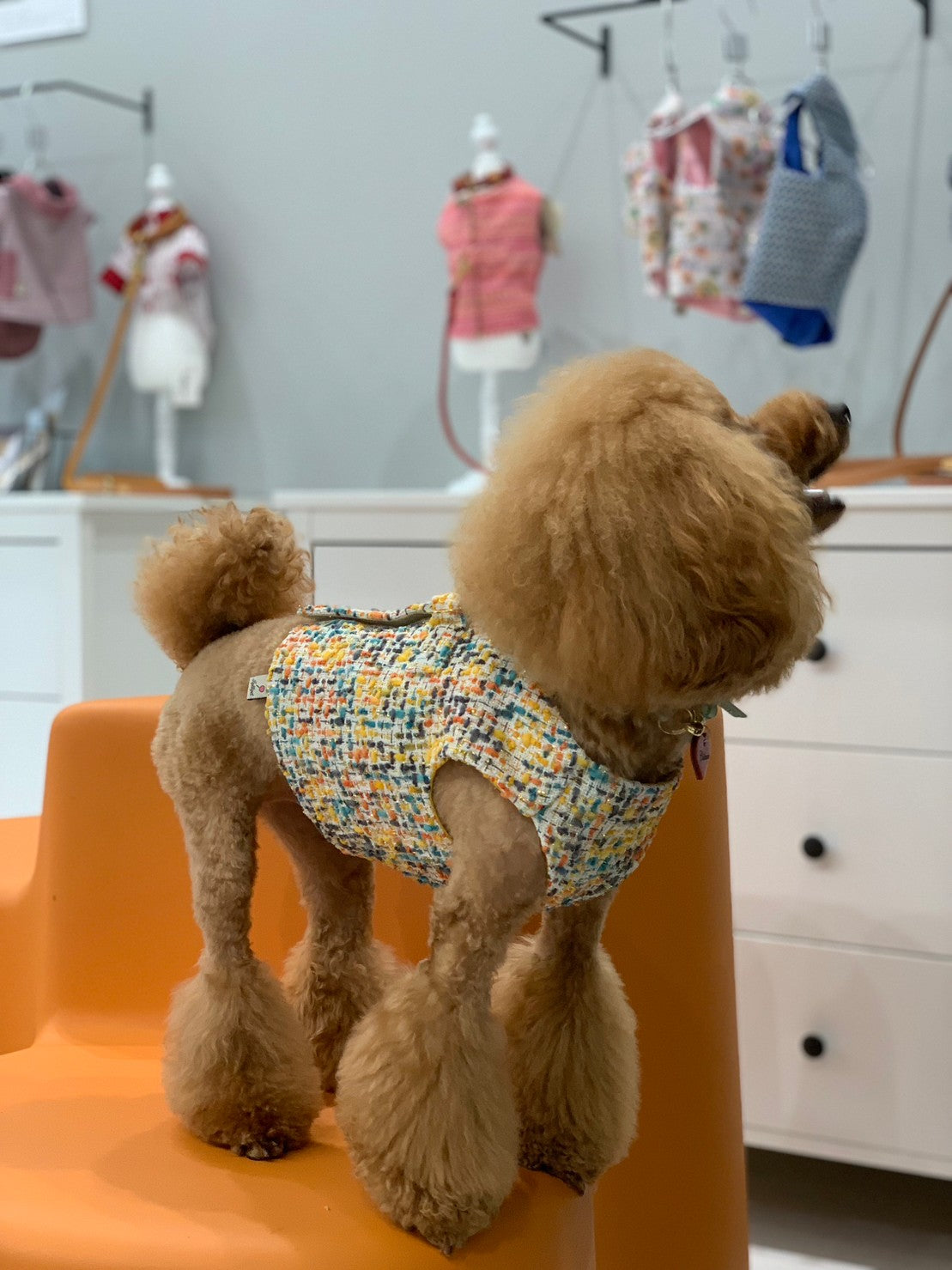 Classic yellow & multi chanel harness