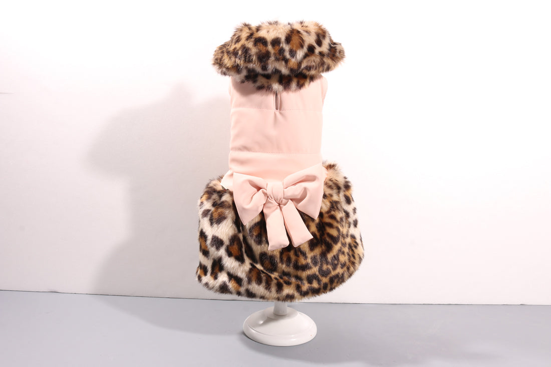 Bow Jacket