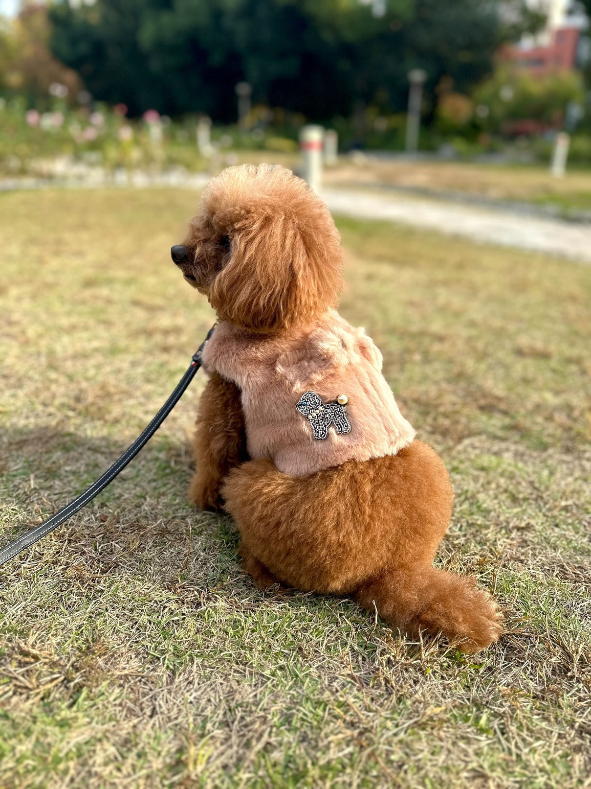Classic Harness