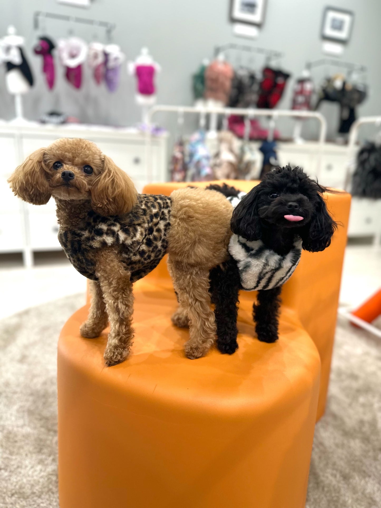 Classic Soft Harness