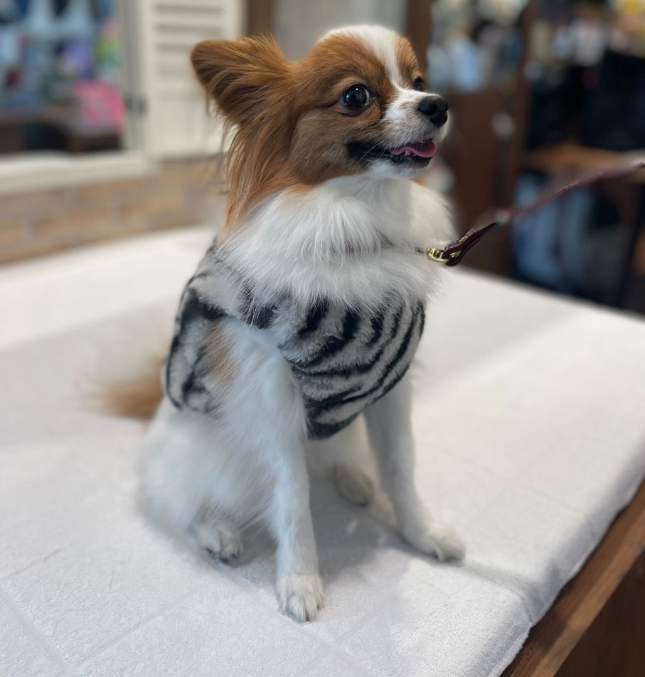 Classic Soft Harness