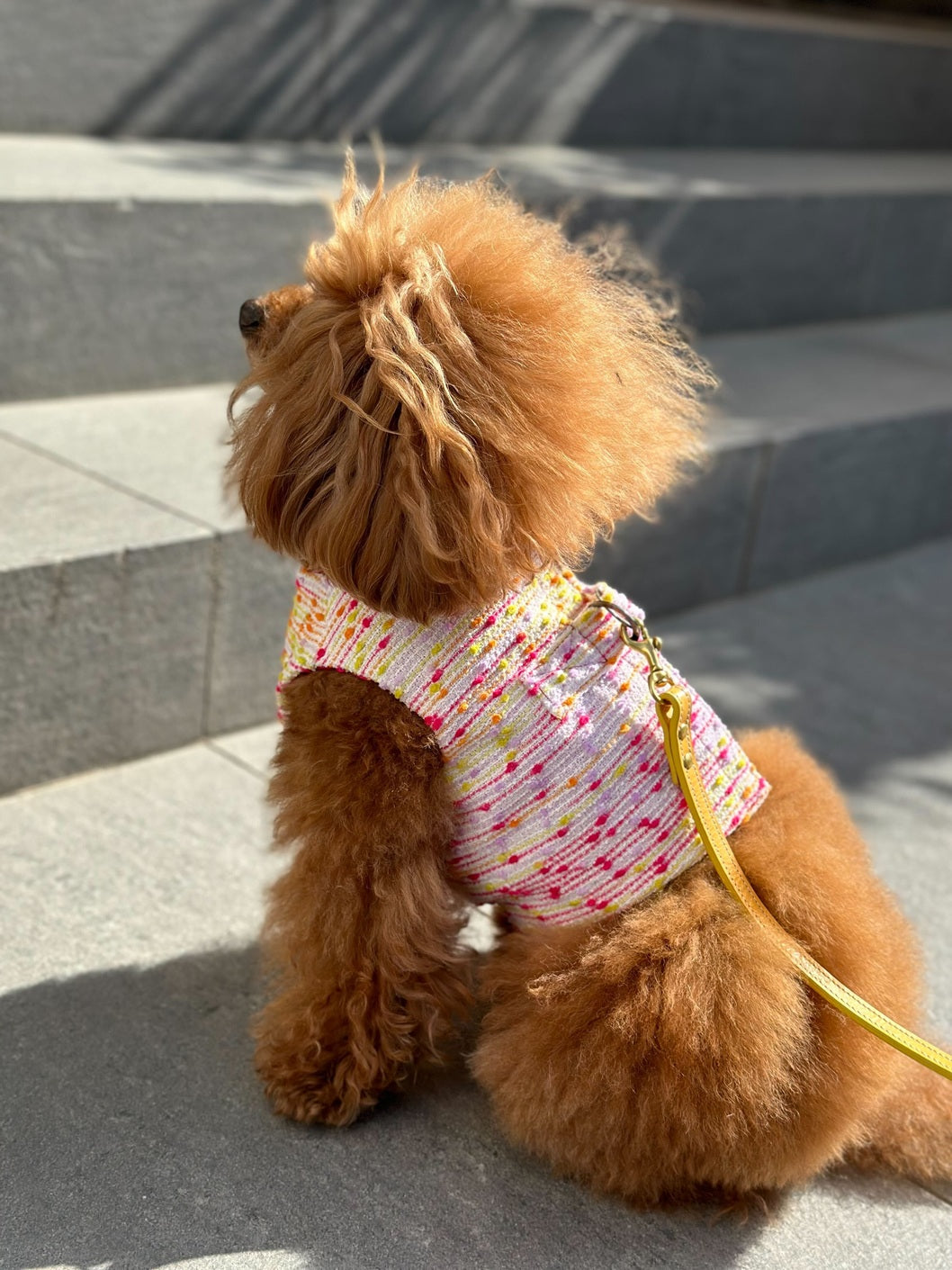 Classic Stoccarda Harness