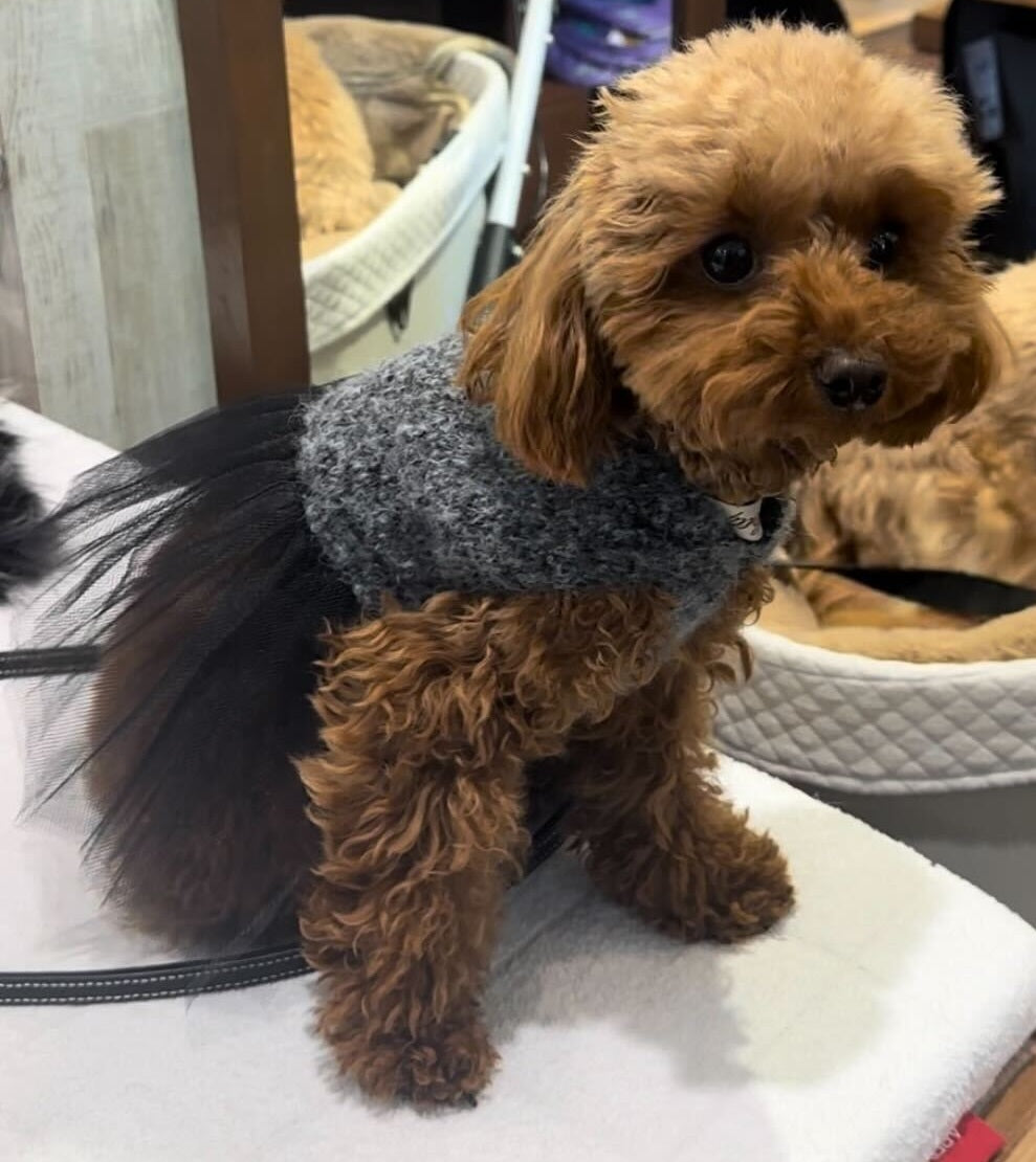 Knitted Tutu