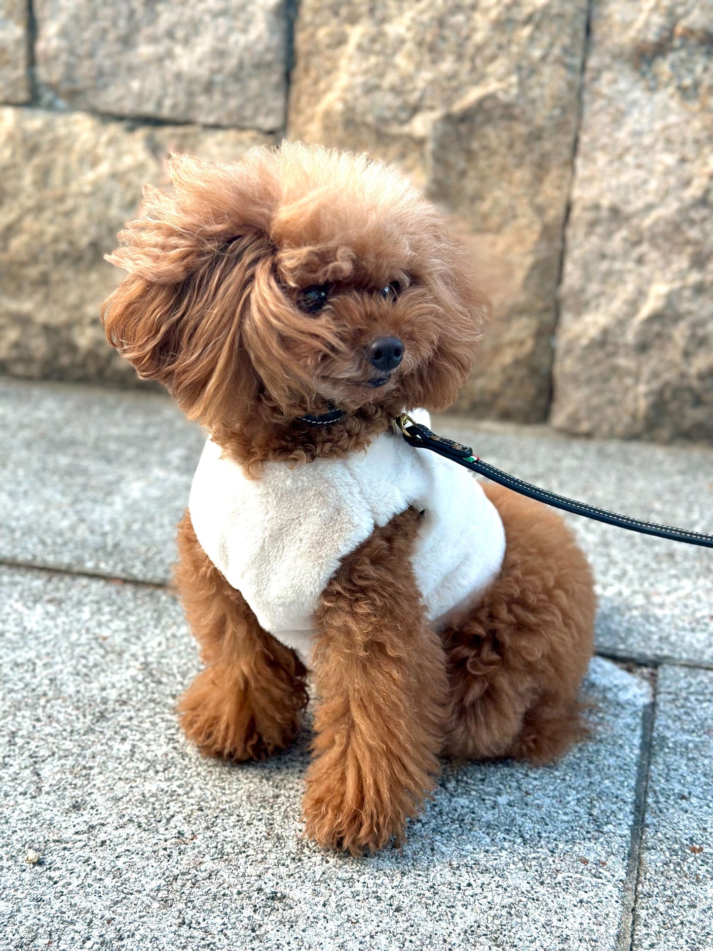 Classic Sawki Harness