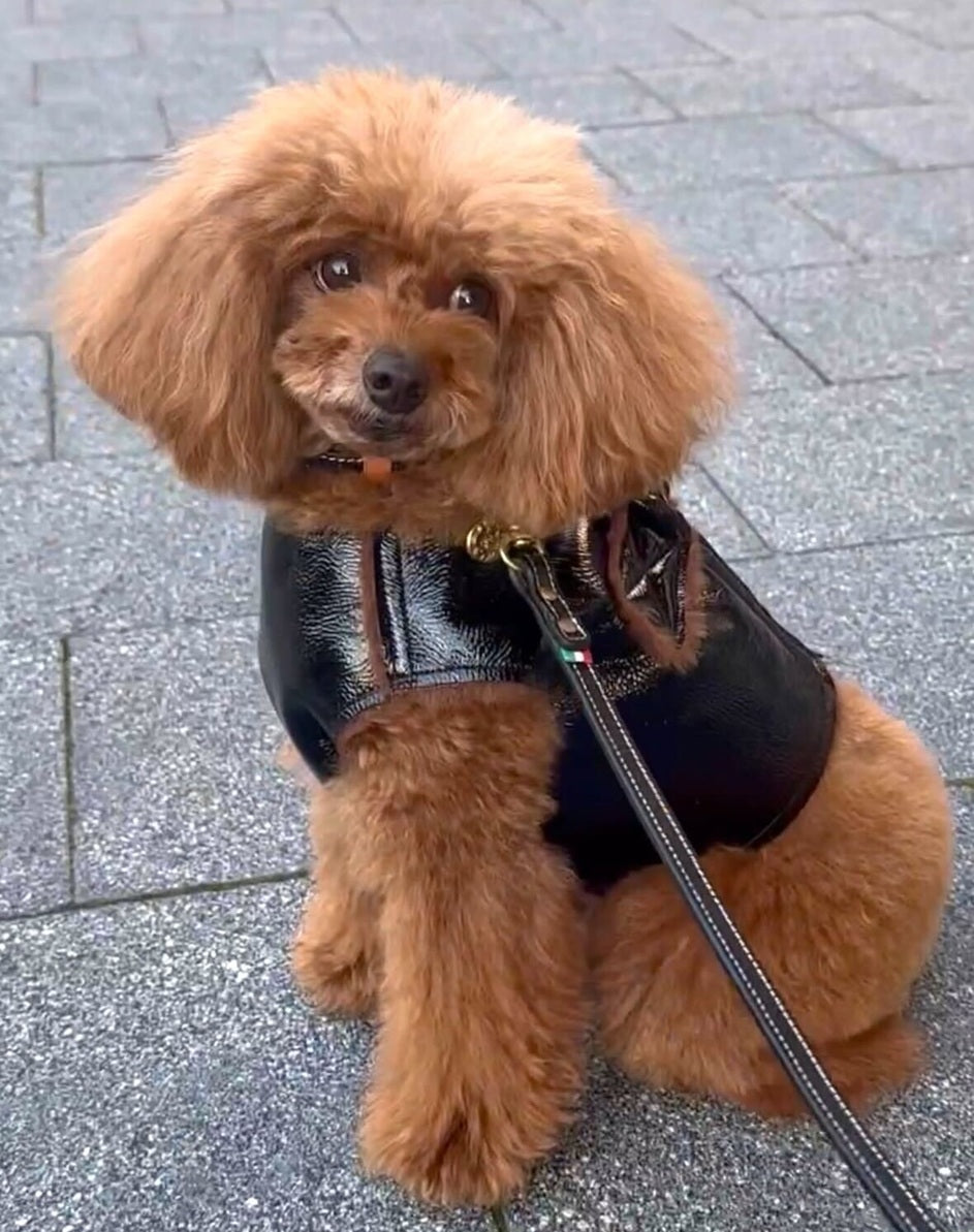 Classic Taxi Harness