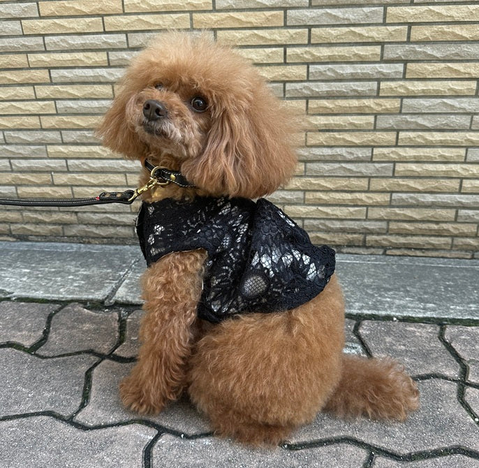 Torino Macrame Sleeveless Shirt
