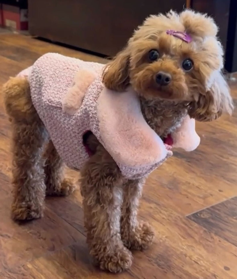Chanel jacket