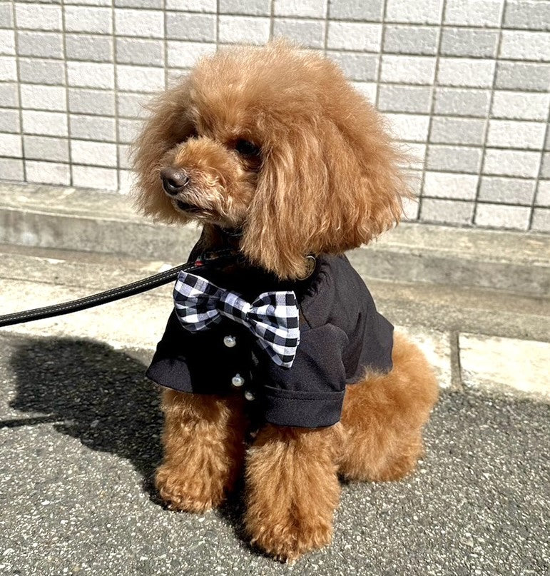 Torino papillon shirt