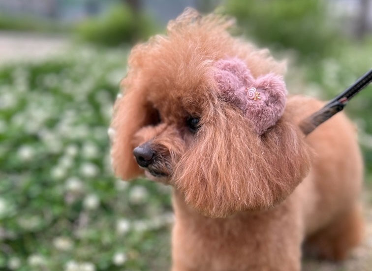 Bow Hair Clip