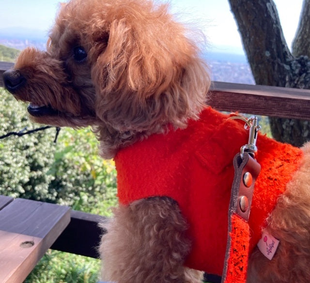 Classic Harness