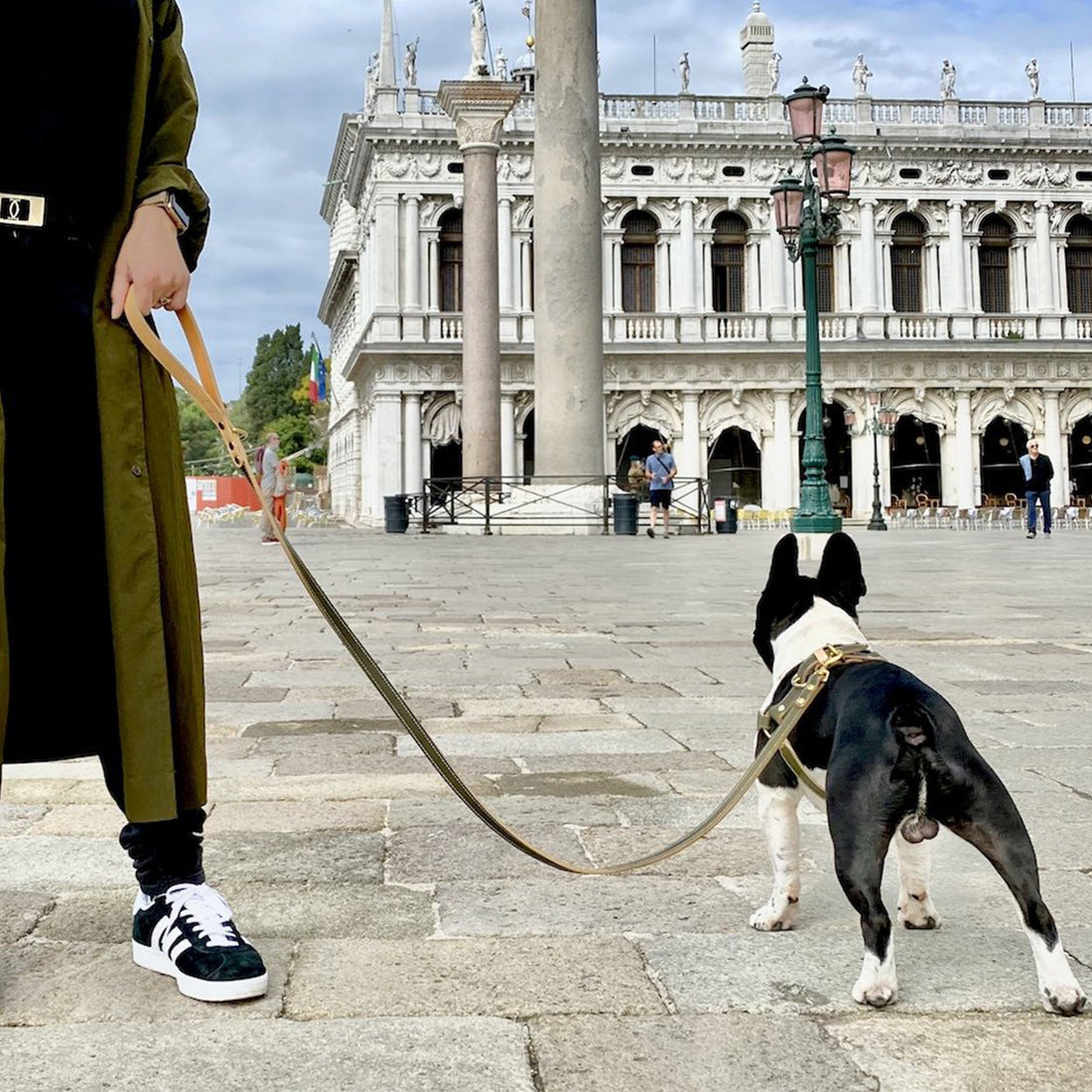 LEATHER DOG LEAD