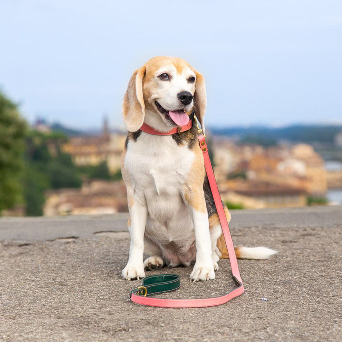 LEATHER DOG LEAD