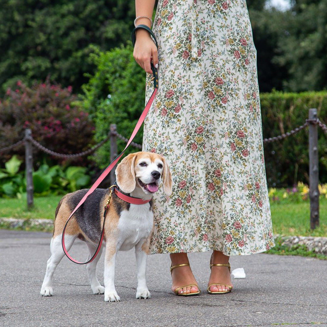 LEATHER DOG LEAD