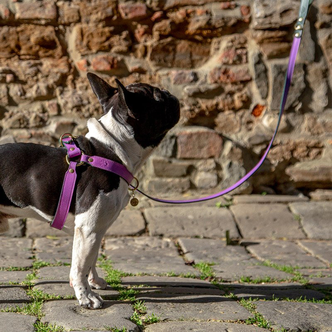 LEATHER DOG LEAD