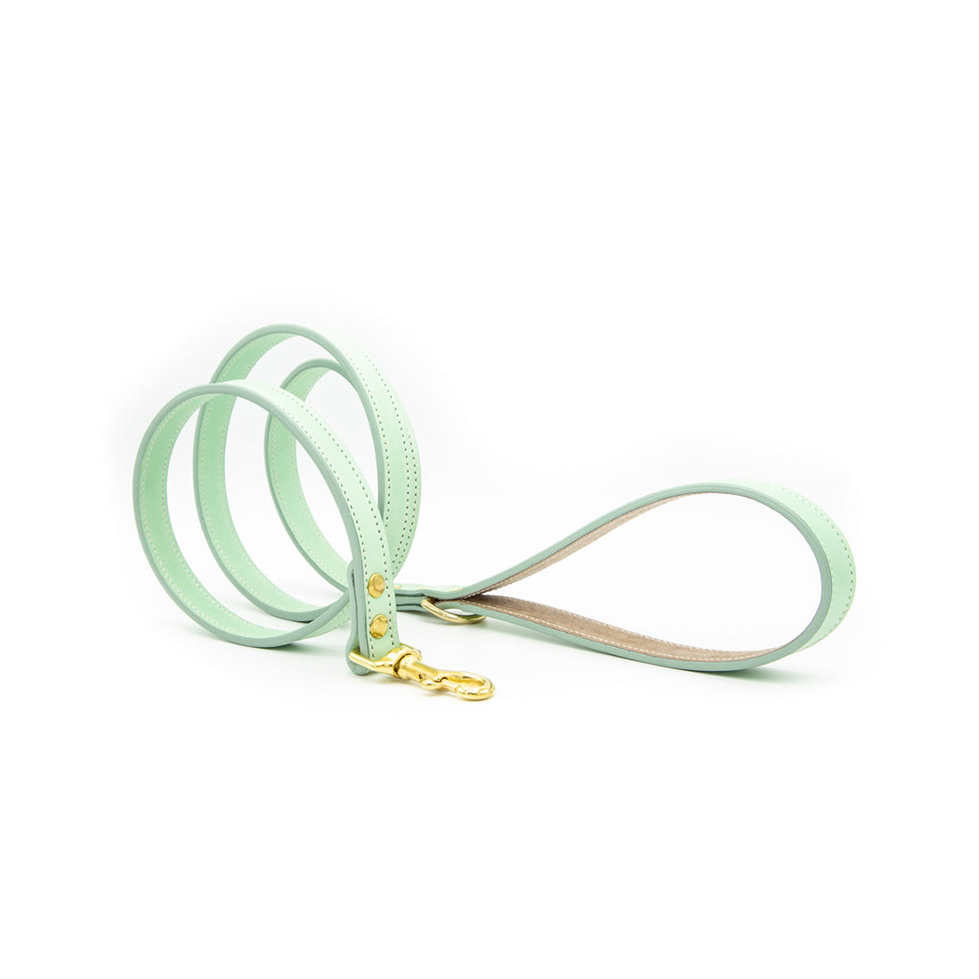 LEATHER DOG LEAD