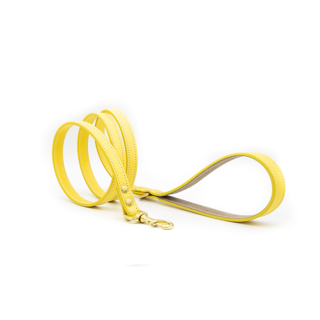 LEATHER DOG LEAD