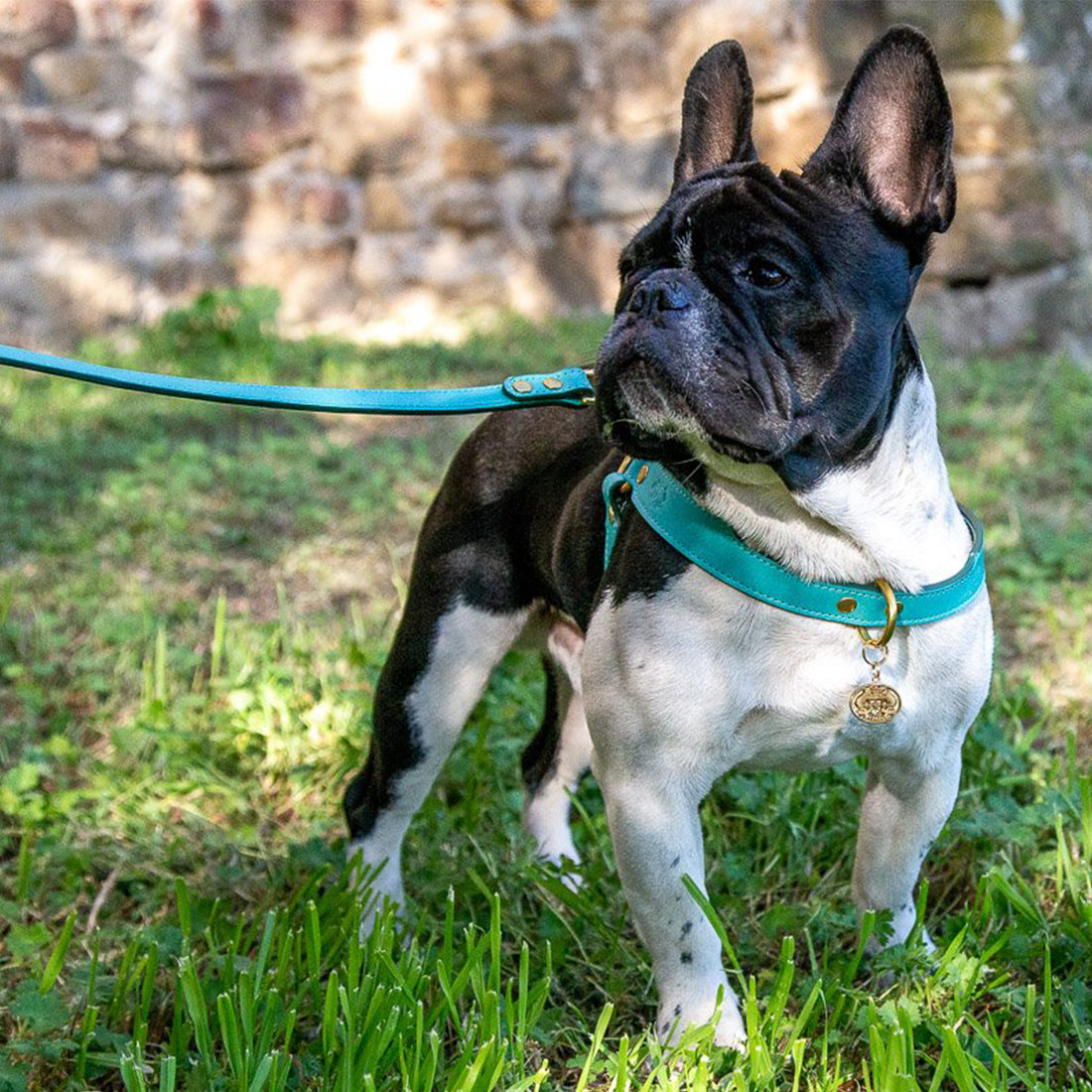 LEATHER DOG HARNESS