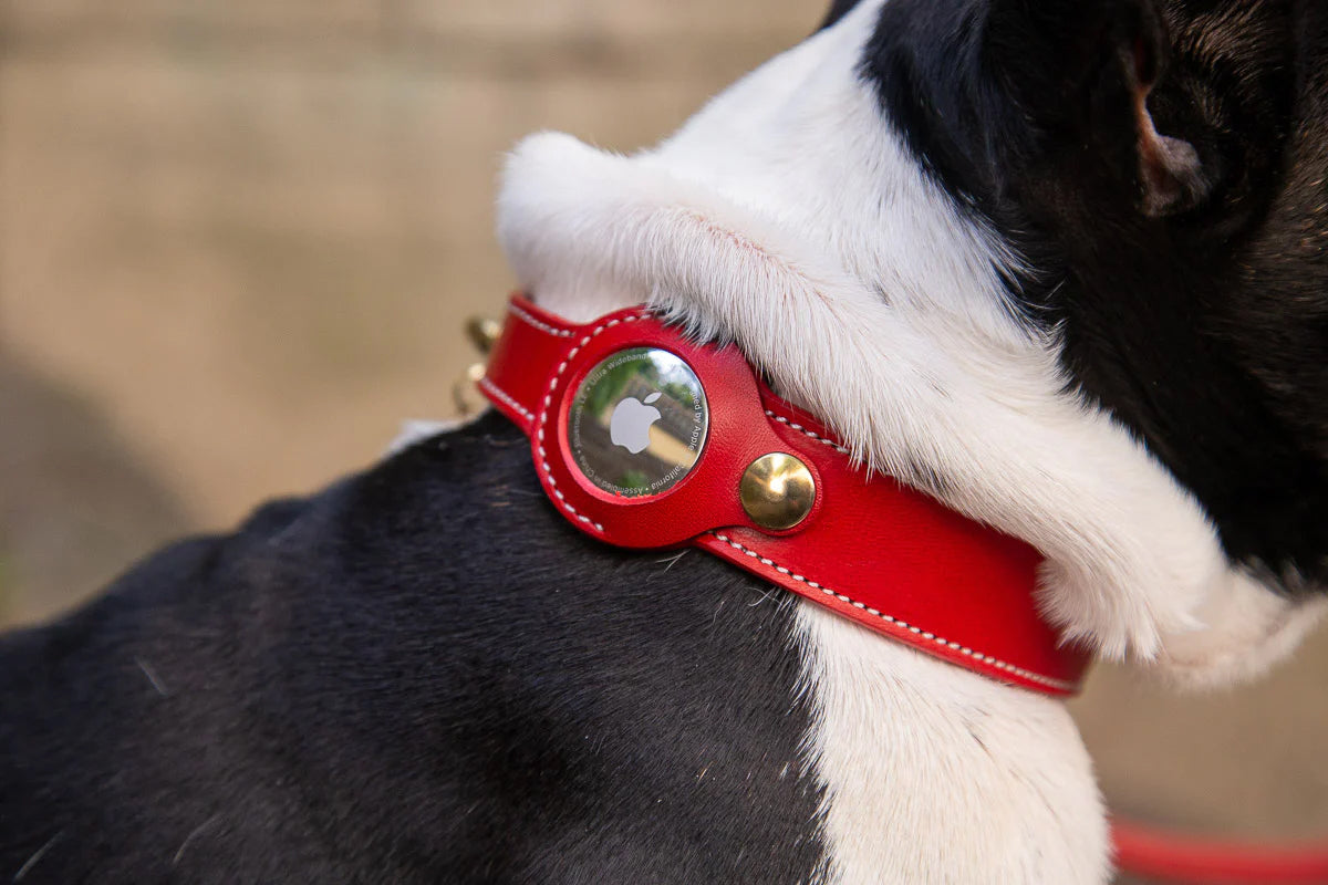 POPPY RED LEATHER DOG COLLAR - AIRTAG EDITION