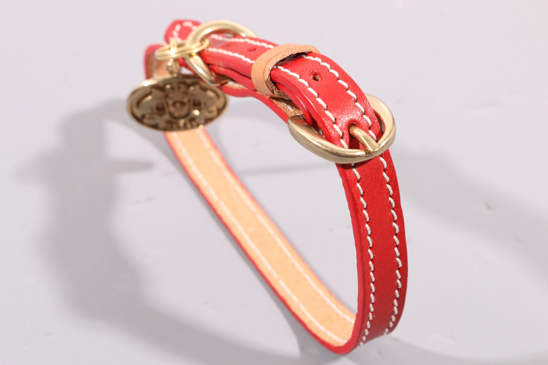 LEATHER DOG COLLAR - PETITE