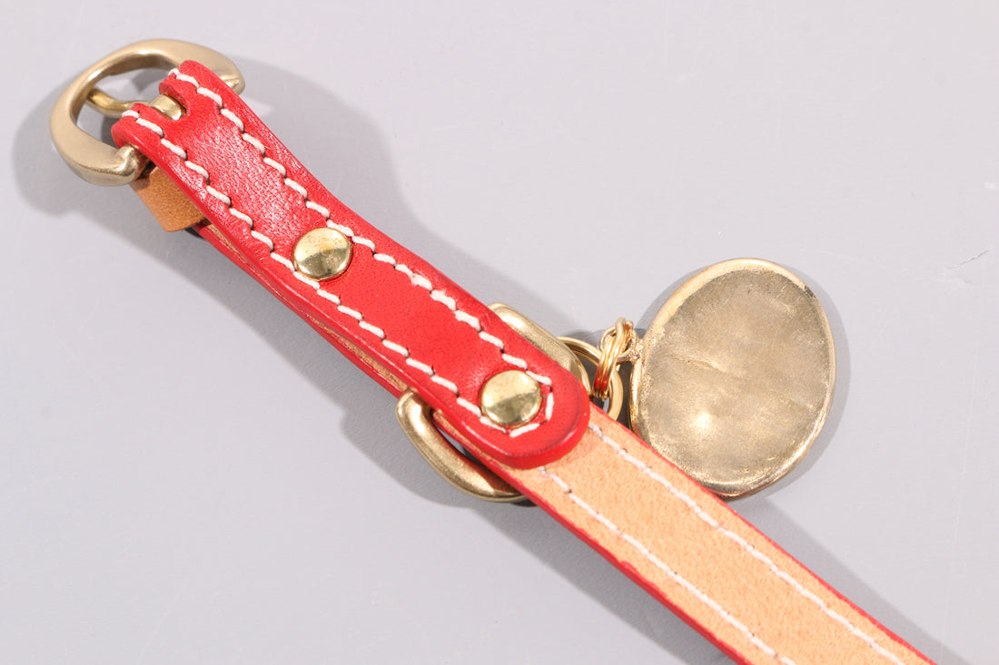 LEATHER DOG COLLAR - PETITE