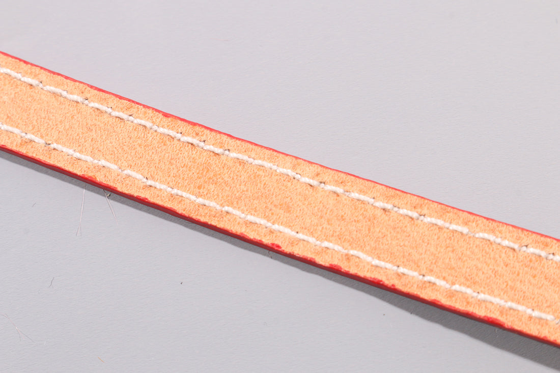 LEATHER DOG COLLAR - PETITE