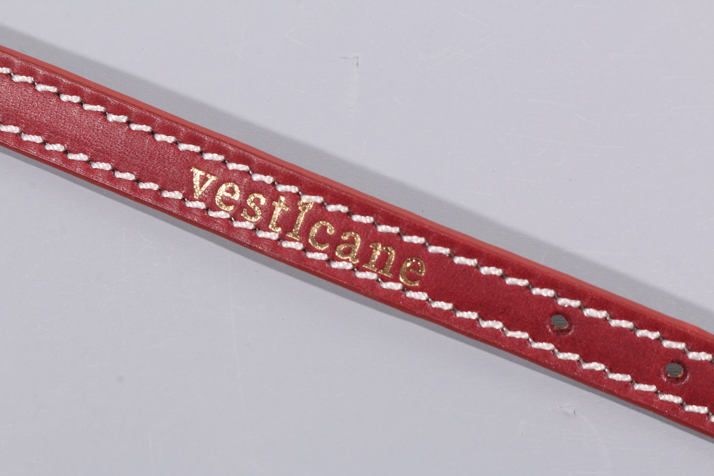 LEATHER DOG COLLAR - PETITE