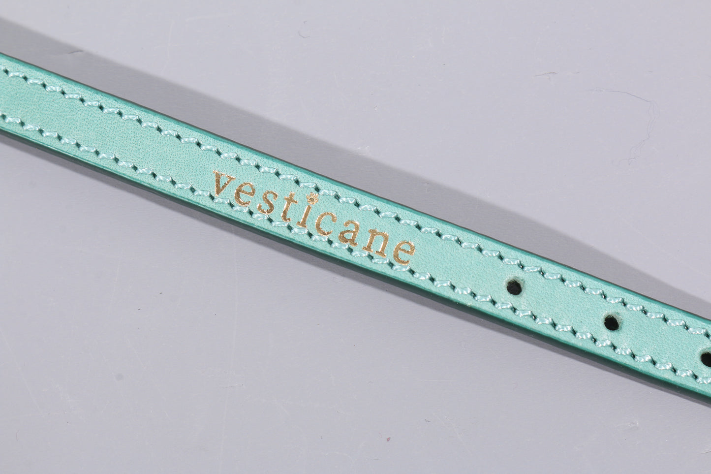 LEATHER DOG COLLAR - PETITE