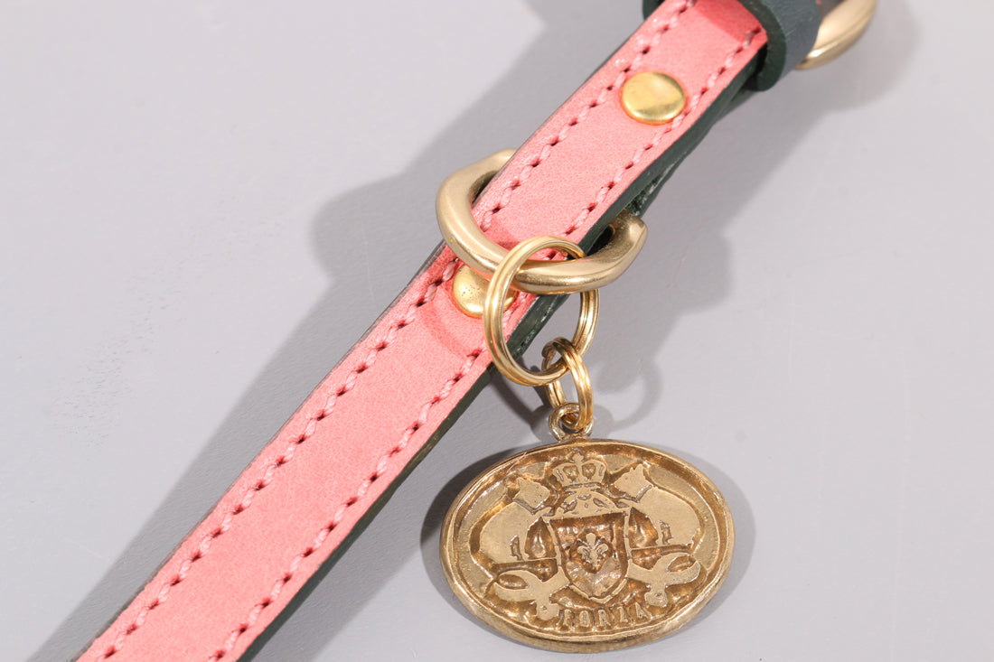 LEATHER DOG COLLAR - PETITE
