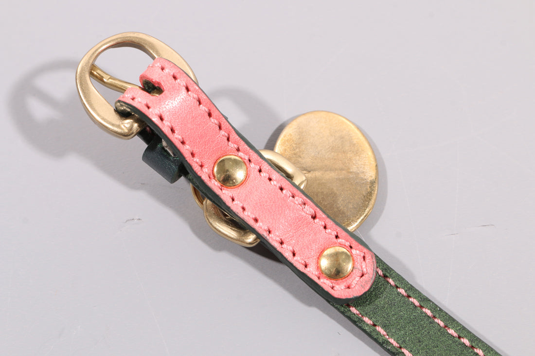 LEATHER DOG COLLAR - PETITE