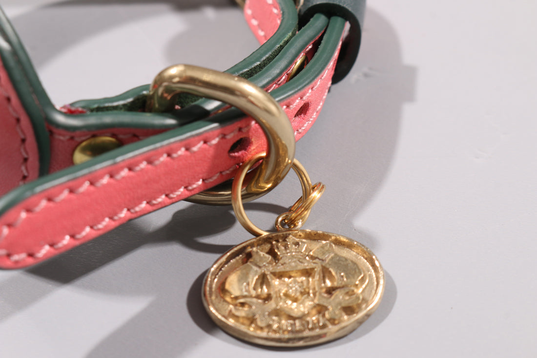 POPPY RED LEATHER DOG COLLAR - AIRTAG EDITION