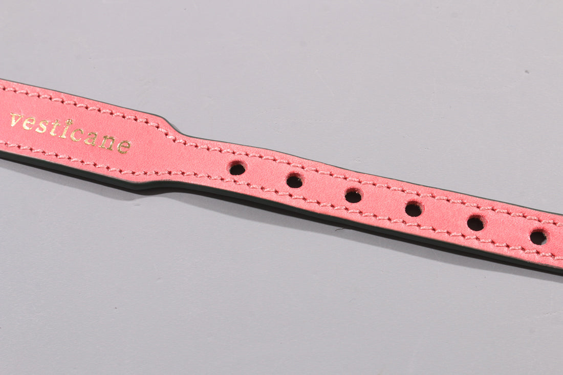 POPPY RED LEATHER DOG COLLAR - AIRTAG EDITION