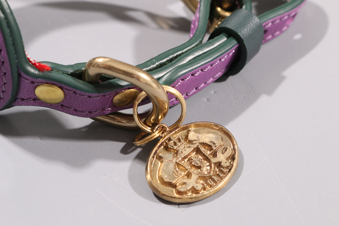 POPPY RED LEATHER DOG COLLAR - AIRTAG EDITION